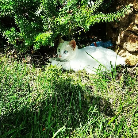 Mare&relax Дом отдыха *